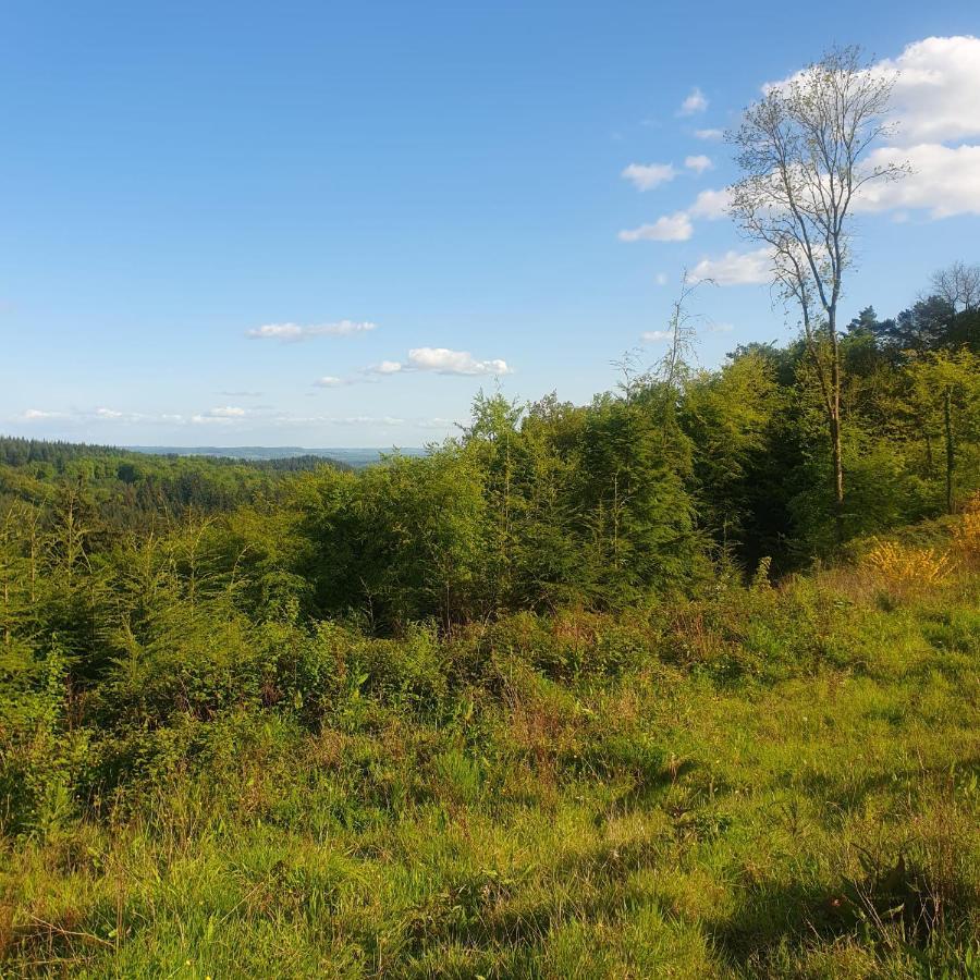 Forest Cedar Lodge, Forest Of Dean Cinderford المظهر الخارجي الصورة