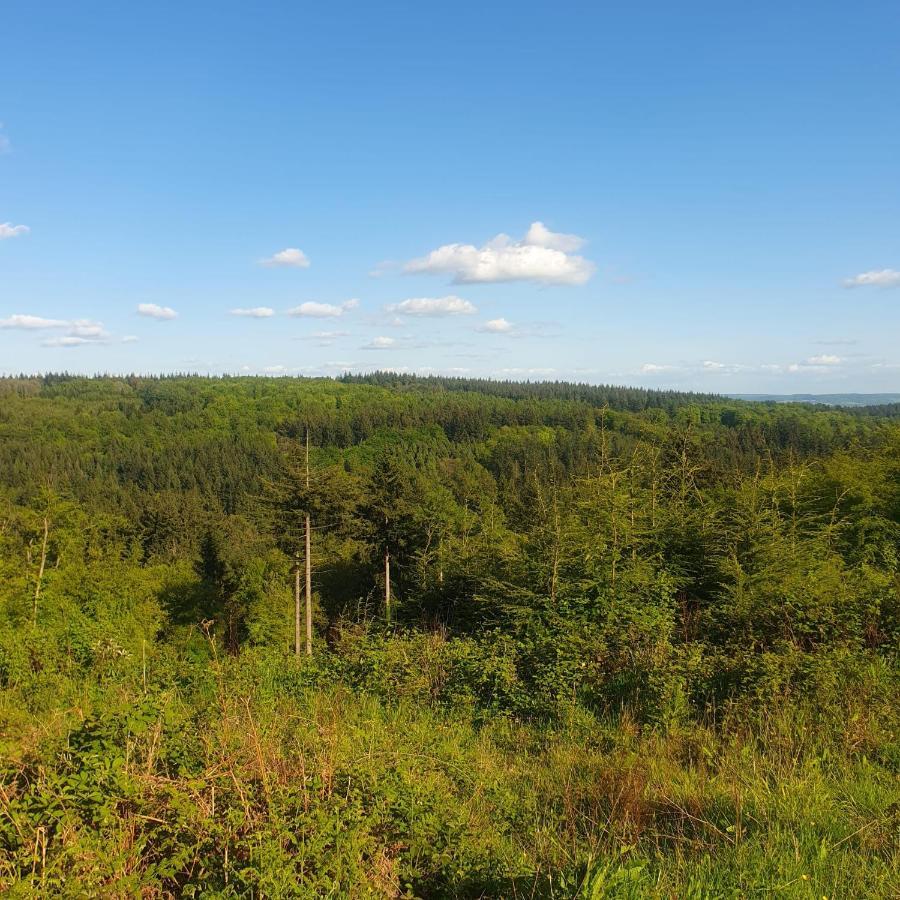 Forest Cedar Lodge, Forest Of Dean Cinderford المظهر الخارجي الصورة